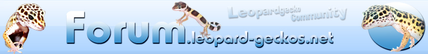 Forum leopard-geckos.net - Das Leopardgecko Forum Foren-Übersicht